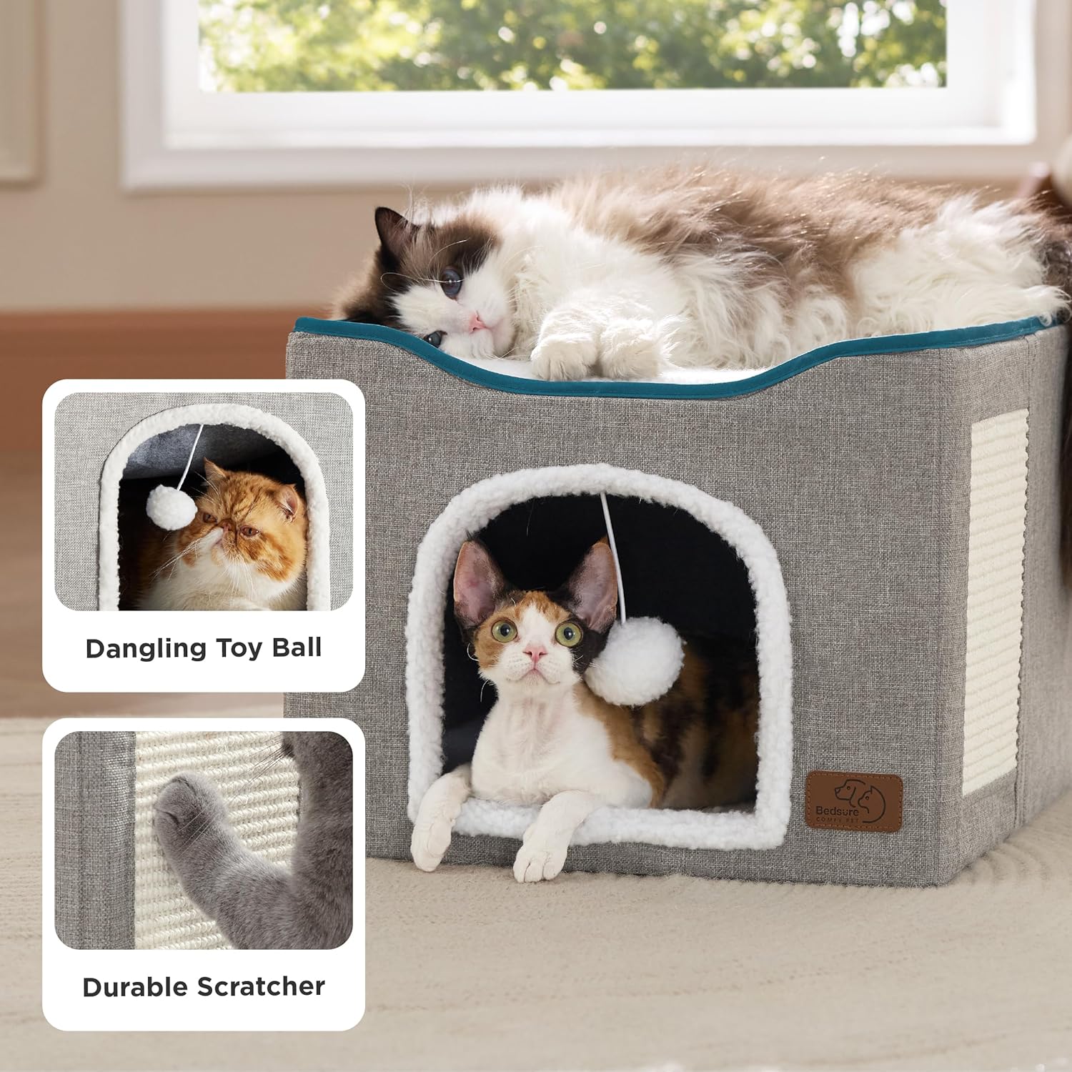 catbed4