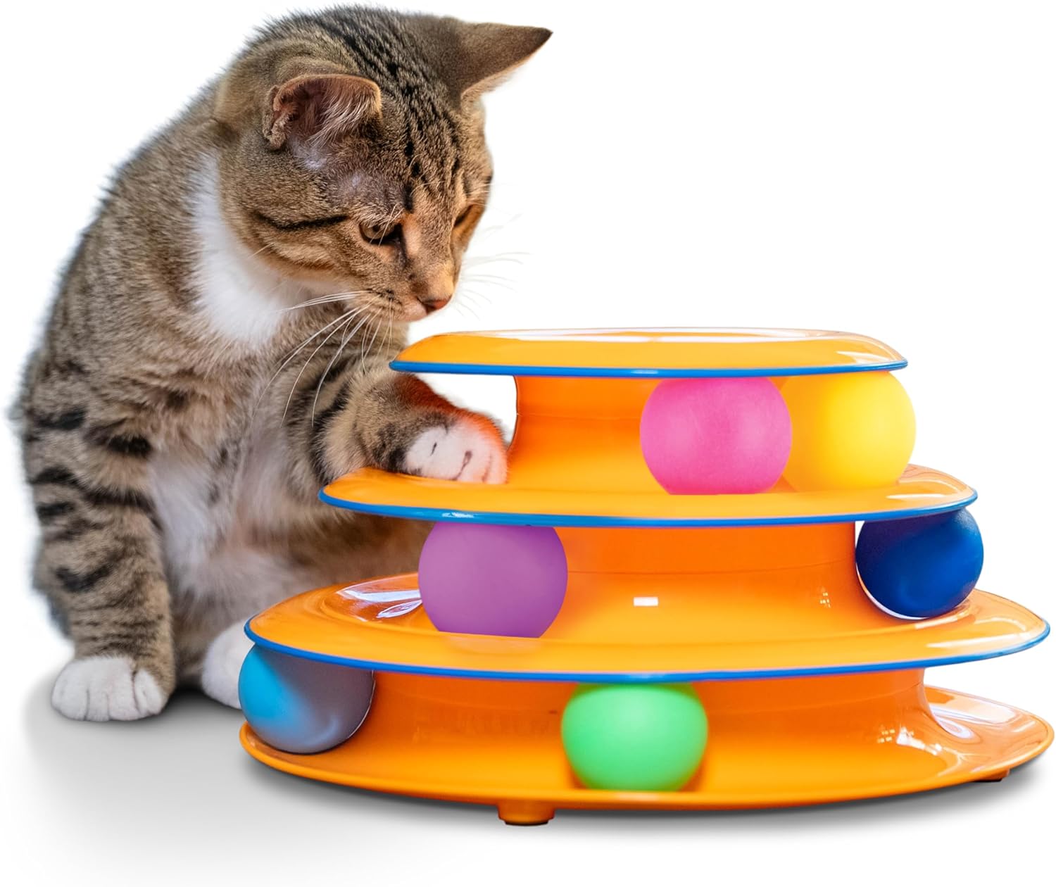 cattoy3