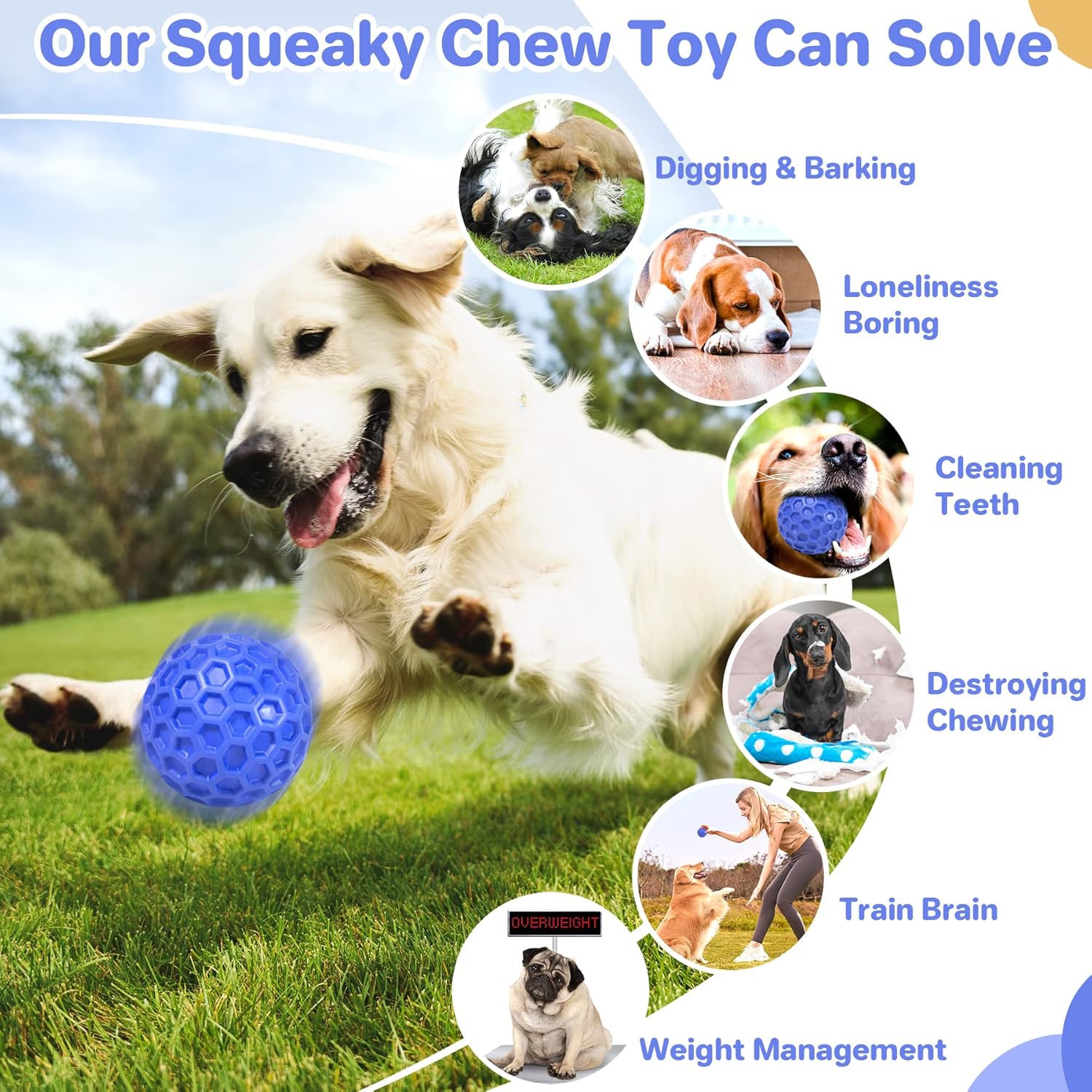 dogball3