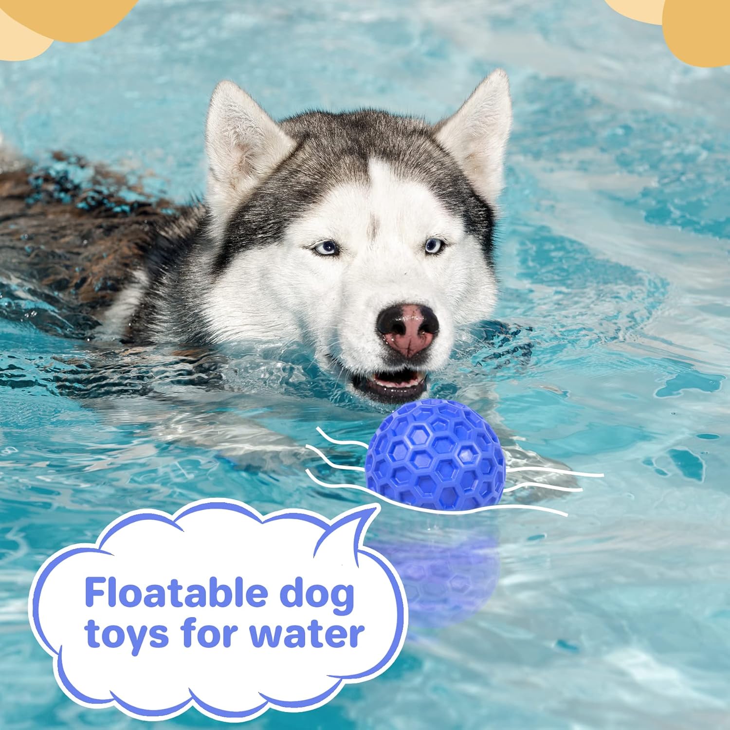 dogball4