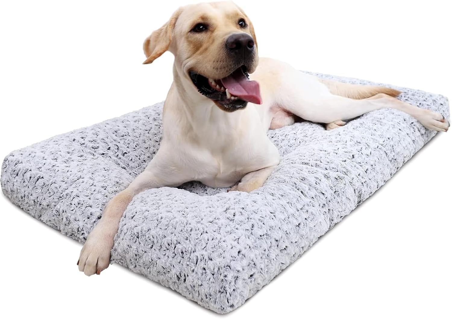 dogbedmed1