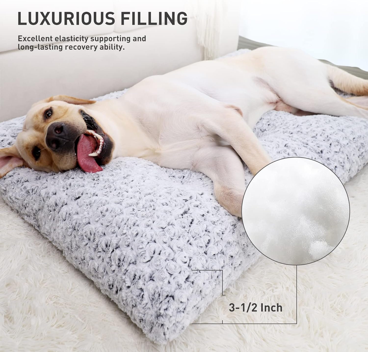 dogbedmed4