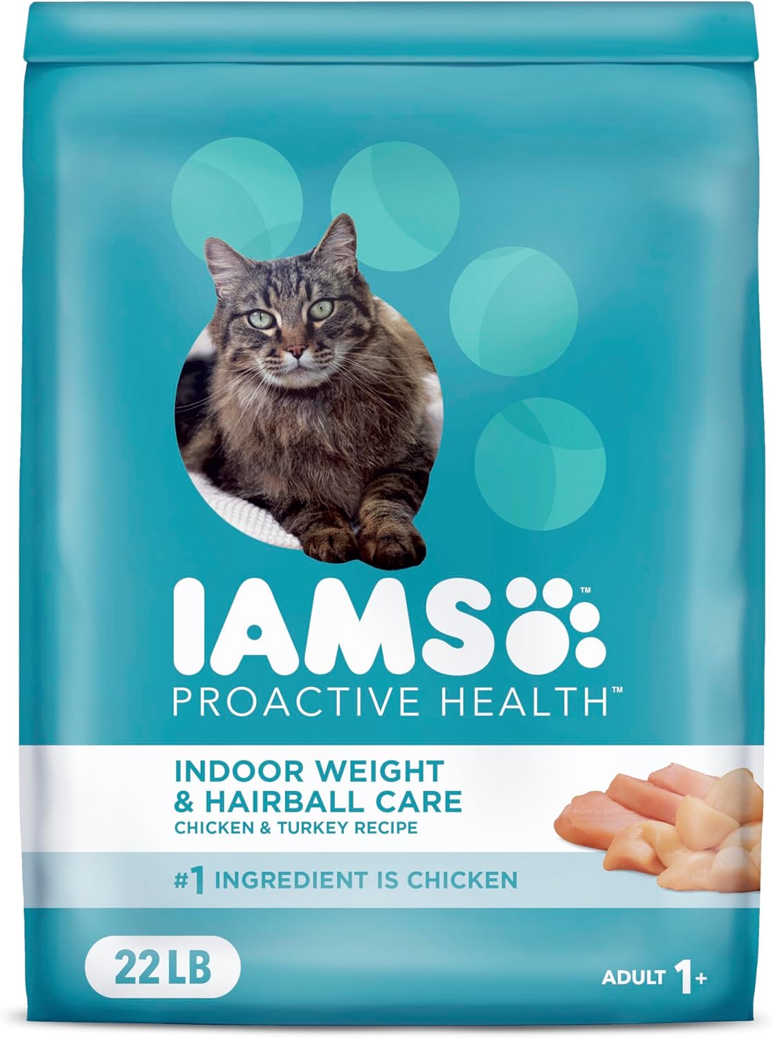 iamscat1