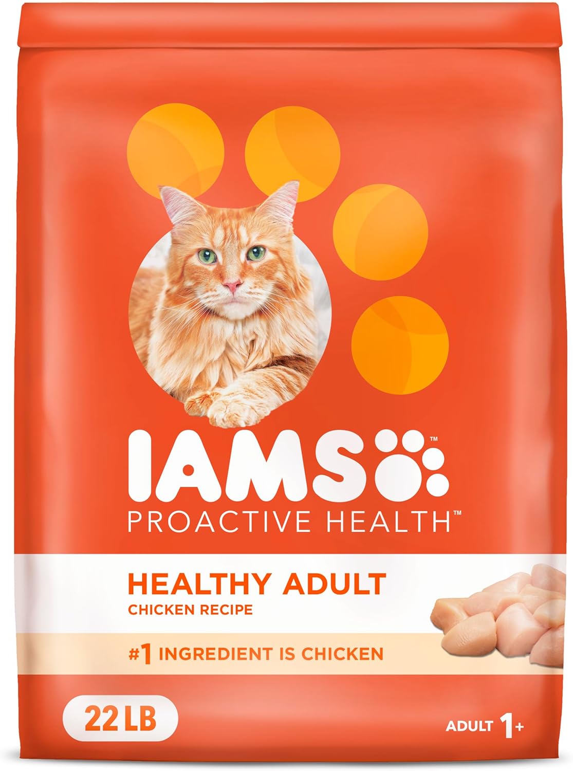 iamscatadult1