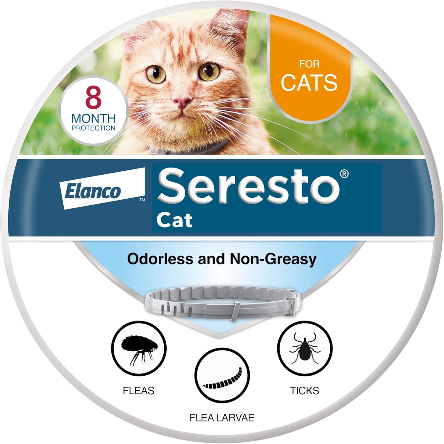 serestocat1