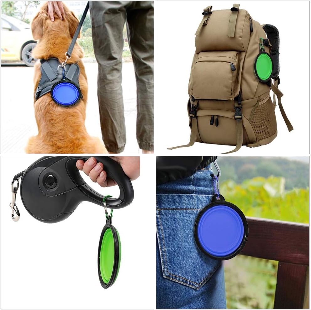 traveldogbowl4